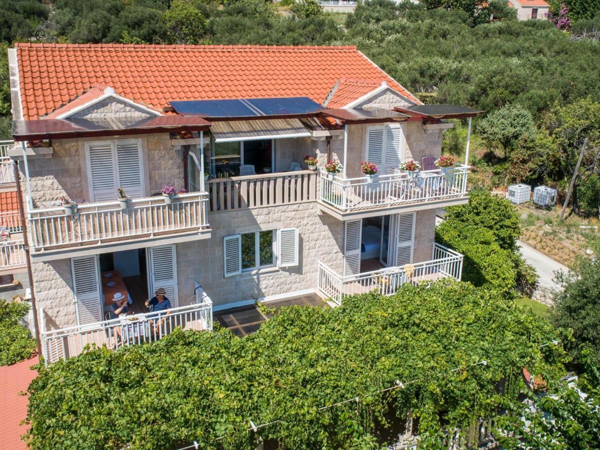 Apartments Njiric Zaton  Extérieur photo